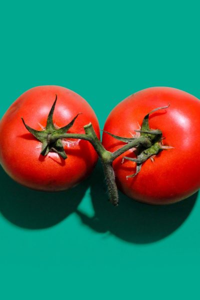 Tomate à faire pousser chez soit