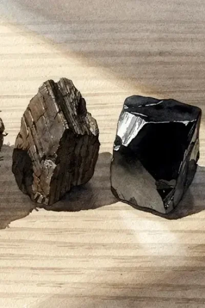 Photo d'échantillons de différents types de charbon disposés sur une table en bois, montrant la tourbe brune, le lignite brun-noir, le charbon bitumineux noir et l'anthracite noir brillant